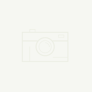 太陽能路燈：綠色智能照亮可持續未來?